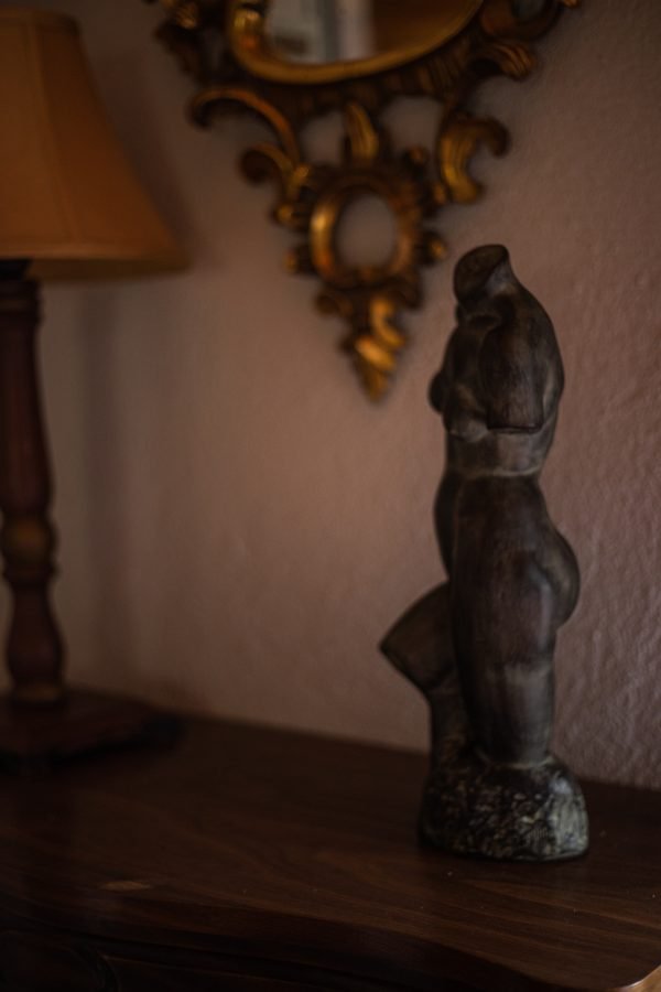 Torso
