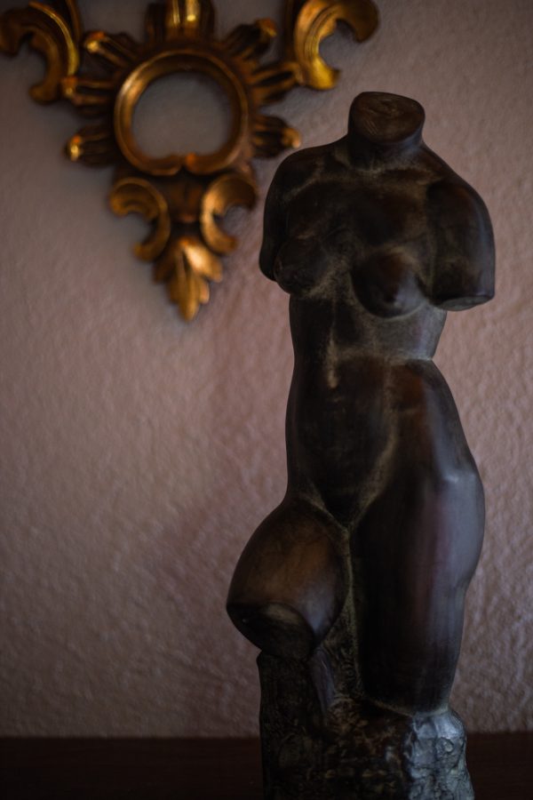 Torso