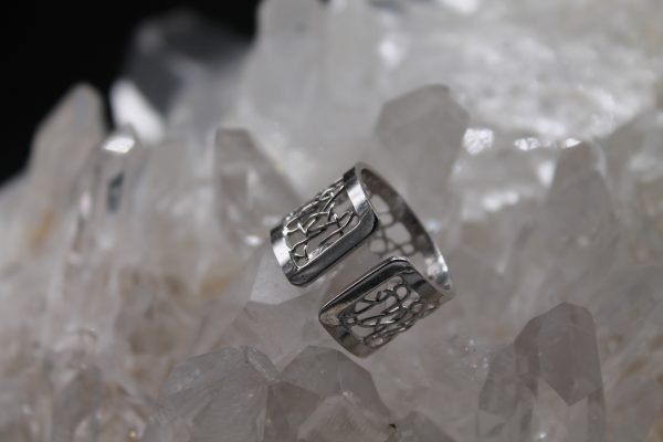 Anell de plata 1ª llei